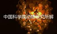中國科學院動物研究所解鎖哺乳動物單性生殖的密碼—新聞—科學網