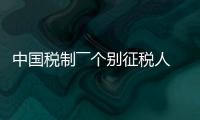 中國稅制――個(gè)別征稅人資歷