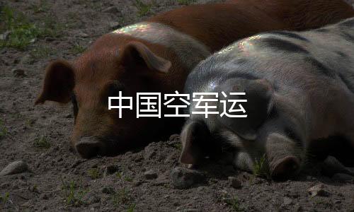 中國空軍運
