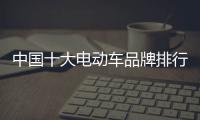 中國十大電動車品牌排行榜（電動車品牌排名）