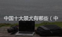 中國十大禁犬有哪些（中國十大禁犬）
