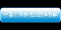 中國十大水性漆品牌怎樣抓救命稻草翻身?