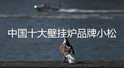 中國(guó)十大壁掛爐品牌小松鼠好評(píng)多特點(diǎn)多