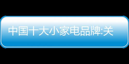 中國十大小家電品牌:關注客戶需求 重視用戶體驗