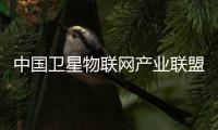 中國衛星物聯網產業聯盟(關于中國衛星物聯網產業聯盟簡述)