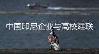 中國印尼企業與高校建聯合實驗室