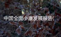 中國全面小康發展報告(關于中國全面小康發展報告簡述)
