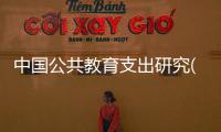 中國公共教育支出研究(關于中國公共教育支出研究簡述)