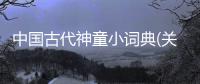 中國(guó)古代神童小詞典(關(guān)于中國(guó)古代神童小詞典簡(jiǎn)述)