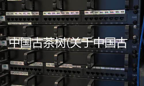 中國古茶樹(關于中國古茶樹簡述)