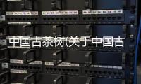 中國古茶樹(關于中國古茶樹簡述)