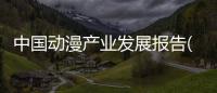 中國動漫產業發展報告(2016)(關于中國動漫產業發展報告(2016)簡述)