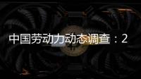 中國勞動力動態(tài)調(diào)查：2013年報告(關(guān)于中國勞動力動態(tài)調(diào)查：2013年報告簡述)