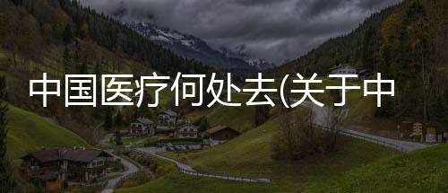 中國醫療何處去(關于中國醫療何處去簡述)