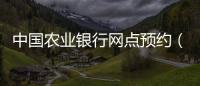 中國(guó)農(nóng)業(yè)銀行網(wǎng)點(diǎn)預(yù)約（中國(guó)農(nóng)業(yè)銀行網(wǎng)點(diǎn)）