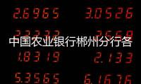 中國農(nóng)業(yè)銀行郴州分行各支行營業(yè)網(wǎng)點及聯(lián)系電話大全
