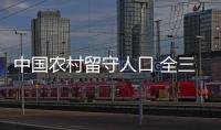 中國農村留守人口 全三卷(關于中國農村留守人口 全三卷簡述)