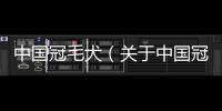 中國冠毛犬（關于中國冠毛犬的基本情況說明介紹）