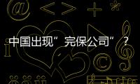 中國(guó)出現(xiàn)”完保公司”？文心創(chuàng)影成立融資平臺(tái)