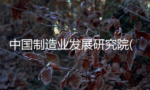 中國制造業發展研究院(關于中國制造業發展研究院簡述)