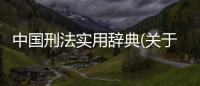 中國刑法實用辭典(關(guān)于中國刑法實用辭典簡述)