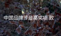 中國品牌節最高獎項 致敬做出積極貢獻的品牌