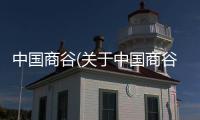中國(guó)商谷(關(guān)于中國(guó)商谷簡(jiǎn)述)
