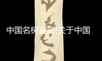 中國(guó)名樹鑒賞(關(guān)于中國(guó)名樹鑒賞簡(jiǎn)述)
