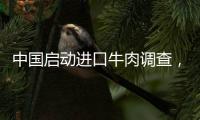 中國啟動進口牛肉調(diào)查，巴西、阿根廷、美國回應(yīng) 全球牛肉市場震動