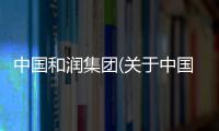 中國和潤集團(關于中國和潤集團簡述)