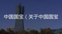 中國國寶（關(guān)于中國國寶的基本情況說明介紹）