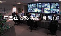 中國在南極種菜，卻擁有了“車厘子自由”