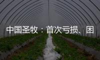 中國圣牧：首次虧損、困局待解 在夾縫中求生