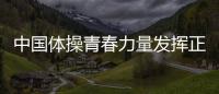 中國體操青春力量發揮正常 張博恒可PK橋本大輝！