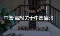 中國信鴿(關于中國信鴿簡述)