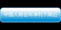 中國人壽去年凈利下降近五成