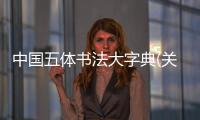 中國五體書法大字典(關(guān)于中國五體書法大字典簡述)