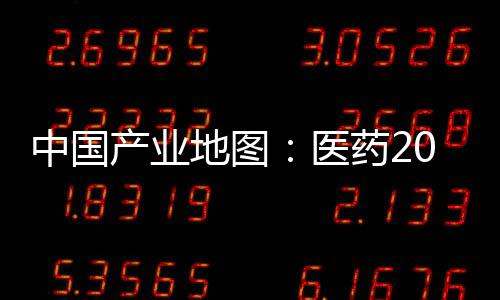 中國(guó)產(chǎn)業(yè)地圖：醫(yī)藥2004