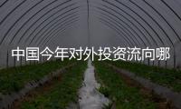 中國(guó)今年對(duì)外投資流向哪里?權(quán)威解讀來(lái)了