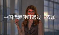 中國代表呼吁通過“雙加強”推動解決朝核問題