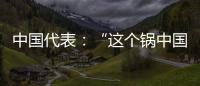 中國代表：“這個鍋中國背不起”
