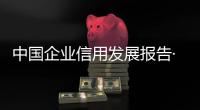中國企業信用發展報告·2020(關于中國企業信用發展報告·2020簡述)
