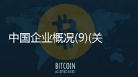 中國企業概況(9)(關于中國企業概況(9)簡述)