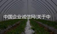 中國(guó)企業(yè)誠(chéng)信網(wǎng)(關(guān)于中國(guó)企業(yè)誠(chéng)信網(wǎng)簡(jiǎn)述)