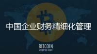 中國企業(yè)財務(wù)精細(xì)化管理標(biāo)準(zhǔn)(關(guān)于中國企業(yè)財務(wù)精細(xì)化管理標(biāo)準(zhǔn)簡述)