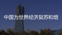中國為世界經濟復蘇和增長提供持續動力