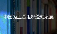 中國為上合組織蓬勃發展作出重要貢獻