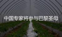 中國專家將參與巴黎圣母院修復工作（組圖）