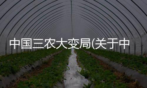 中國三農(nóng)大變局(關(guān)于中國三農(nóng)大變局簡述)