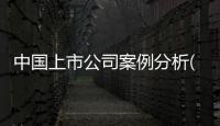 中國上市公司案例分析(關于中國上市公司案例分析簡述)